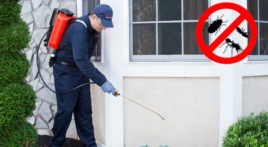 Çiğli Kene İlaçlama böcek ilaçlama ve haşere kontrolü — ilaclama-tr.com